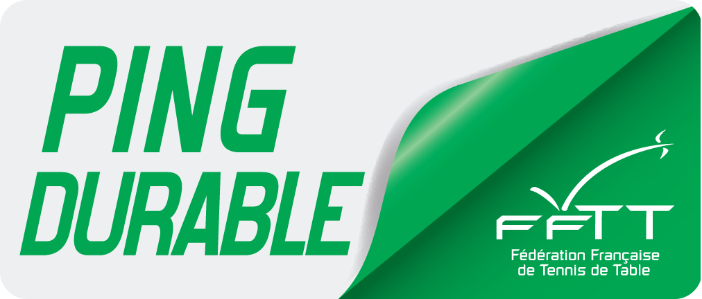 PING RESPONSABLE